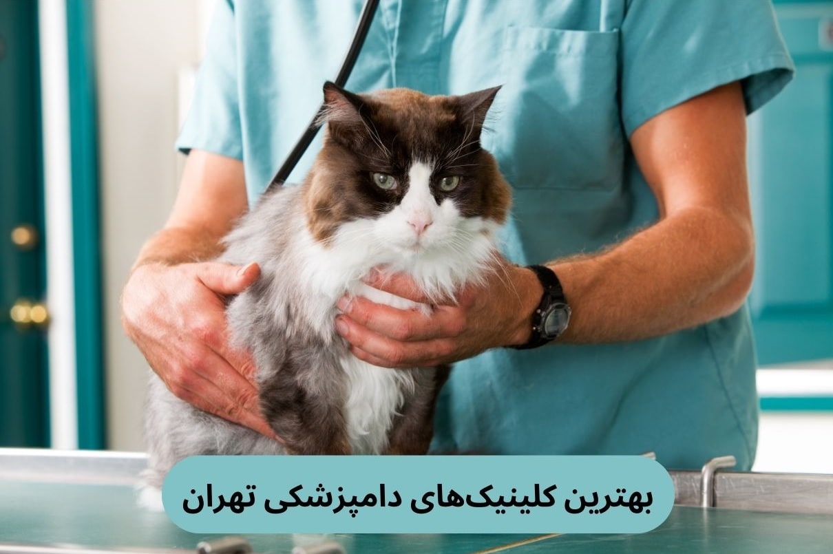 بهترین کلینیک‌های دامپزشکی تهران