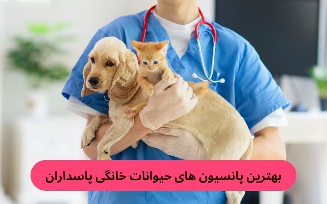 بهترین پانسیون های حیوانات خانگی پاسداران