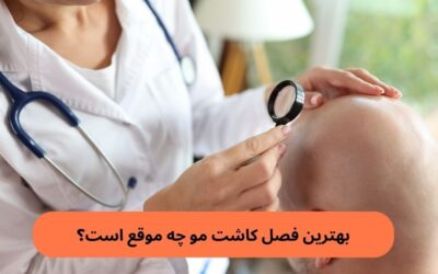 بهترین فصل کاشت مو چه موقع است؟