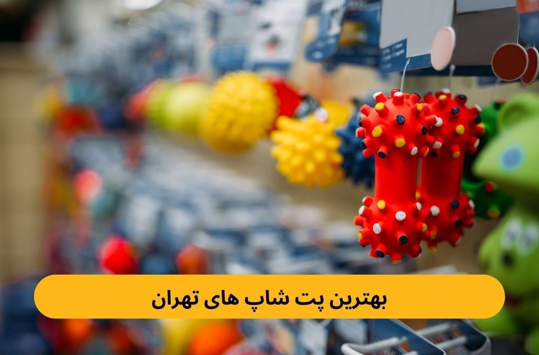بهترین پت شاپ های تهران