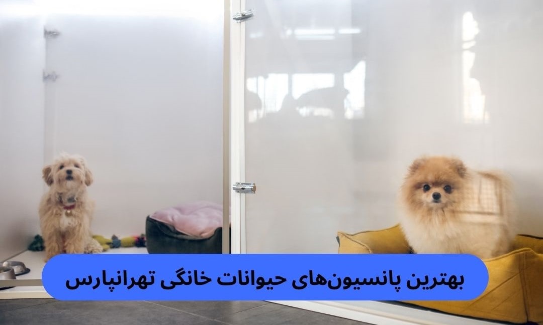 بهترین پانسیون_های حیوانات خانگی تهرانپارس