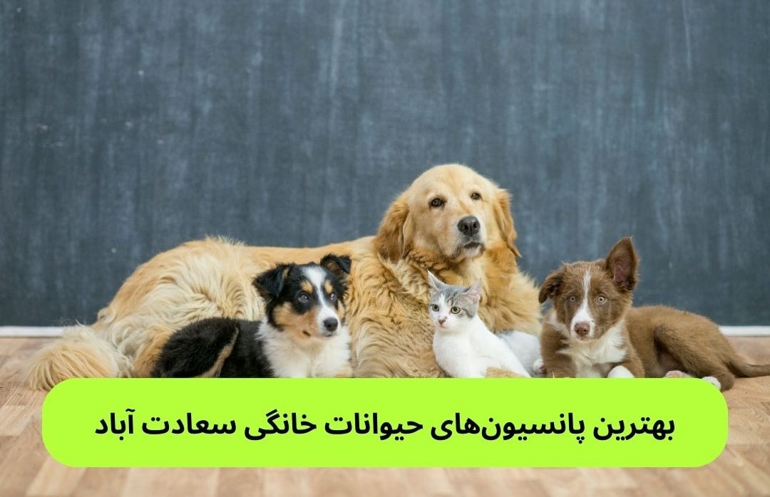 بهترین پانسیون_های حیوانات خانگی سعادت آباد