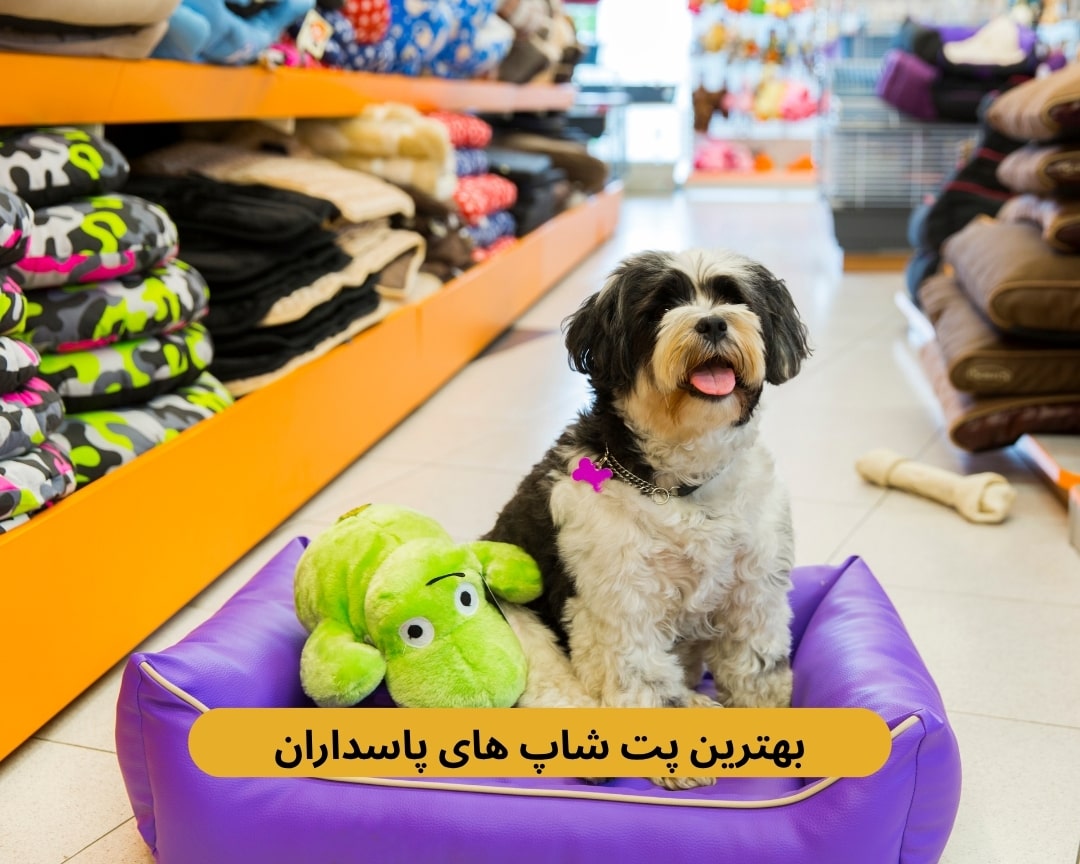 بهترین پت شاپ های پاسداران