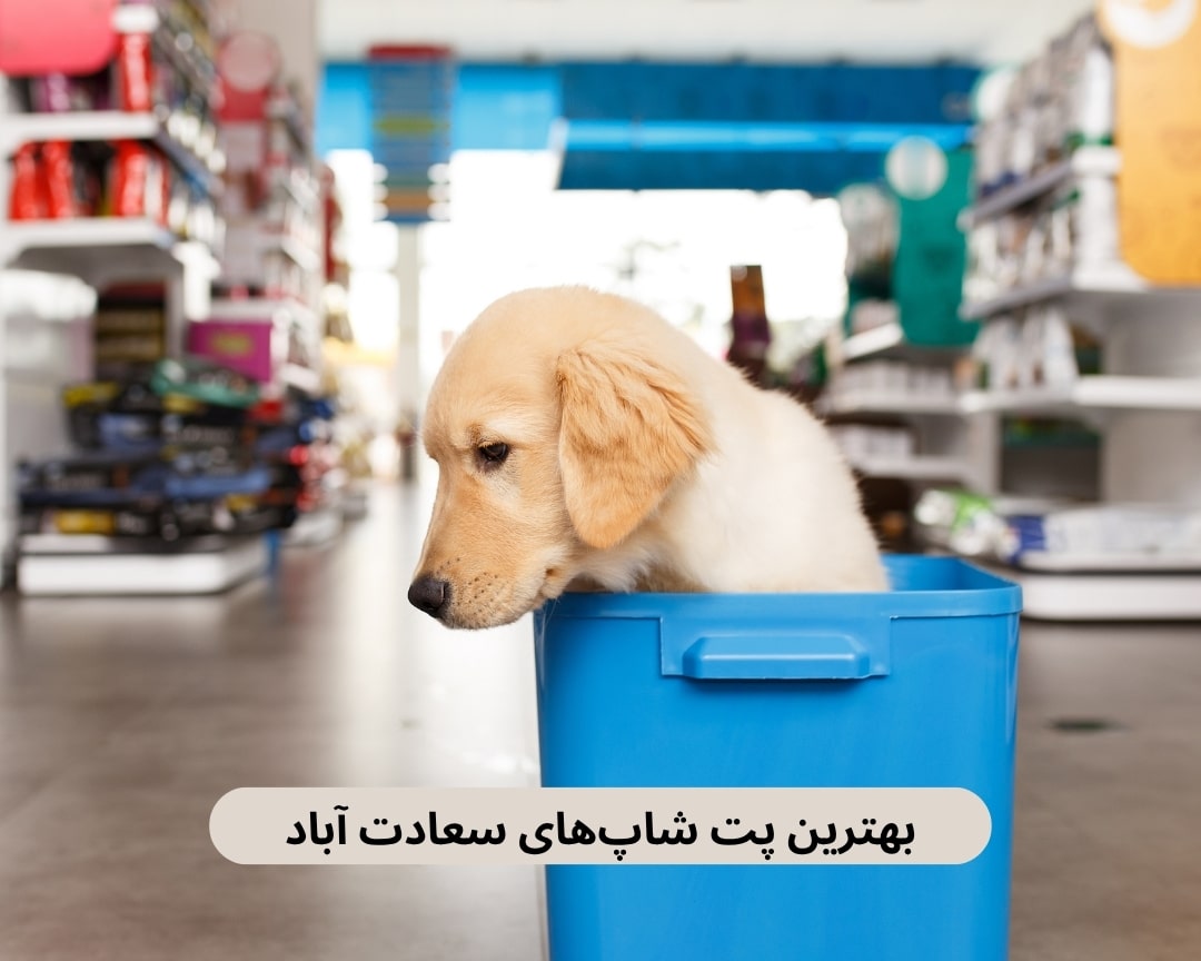 بهترین پت شاپ های سعادت آباد