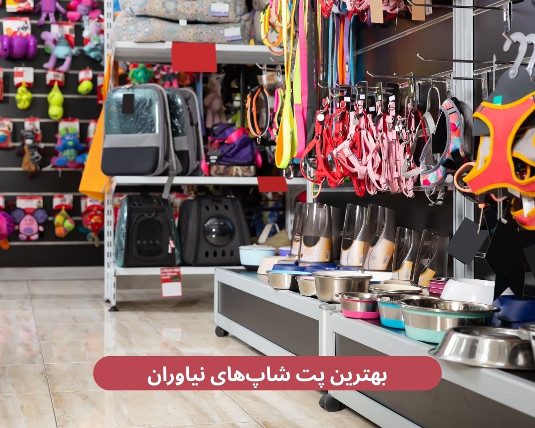 بهترین پت شاپ‌های نیاوران