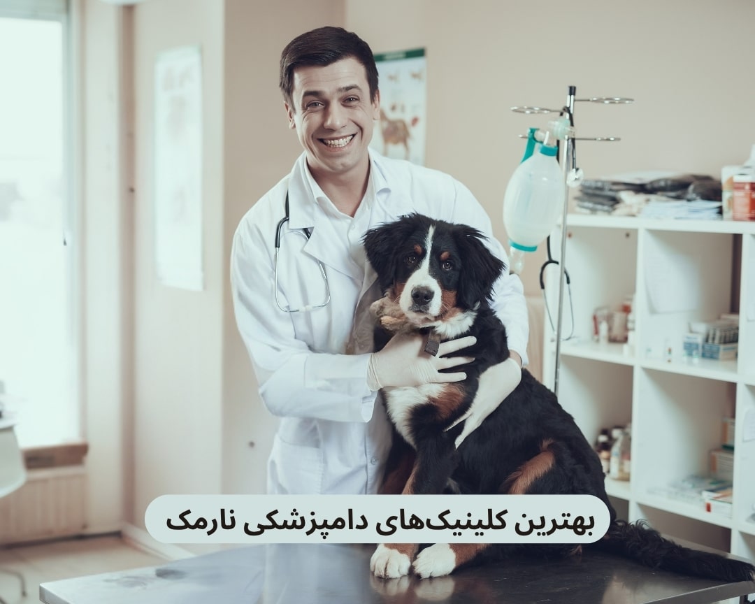 بهترین کلینیک های دامپزشکی نارمک