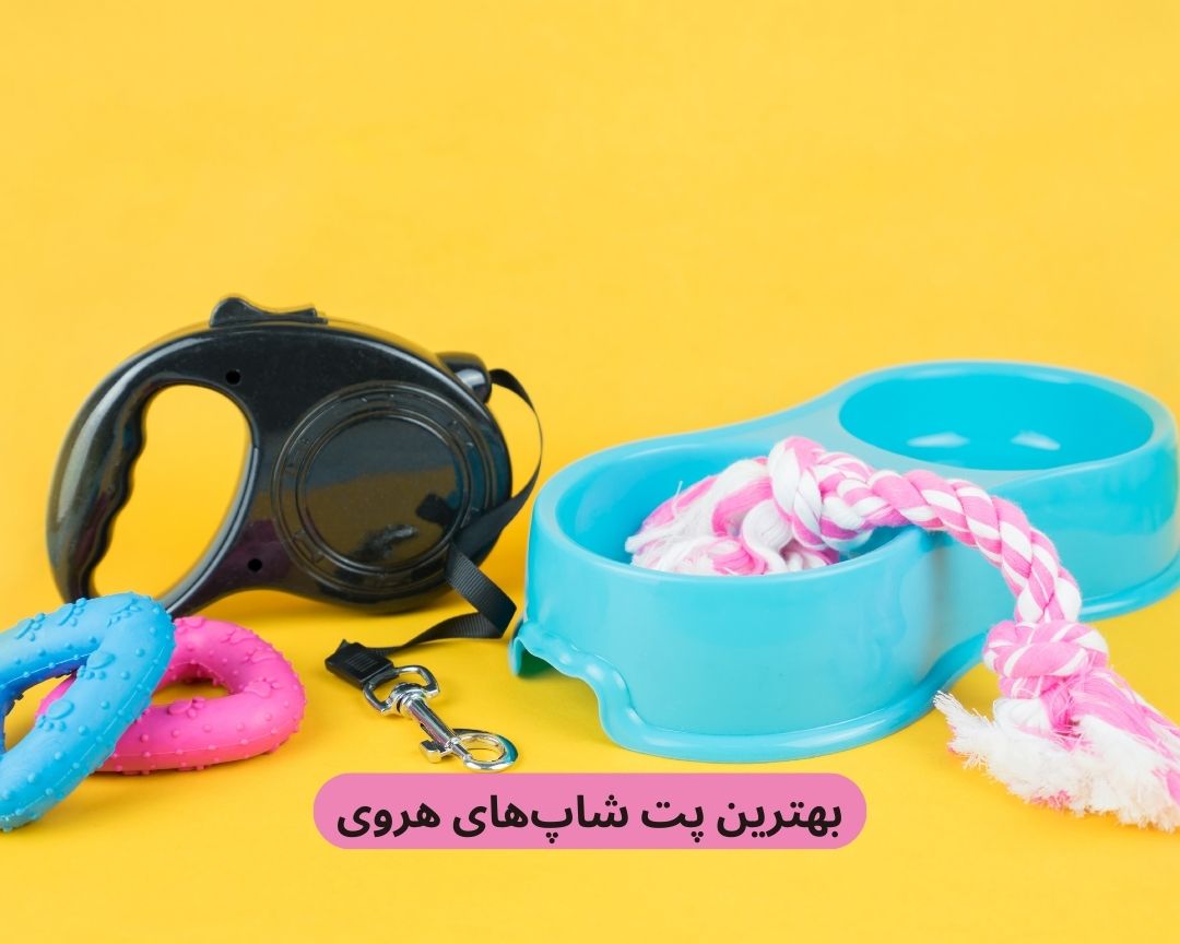 بهترین پت شاپ های هروی