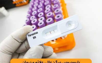پاروویروس سگ: علل، علائم و درمان