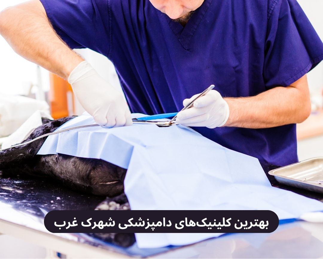 بهترین کلینیک های دامپزشکی شهرک غرب