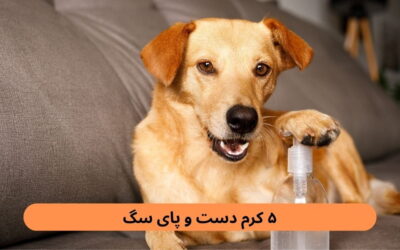 ۵ کرم دست و پای سگ